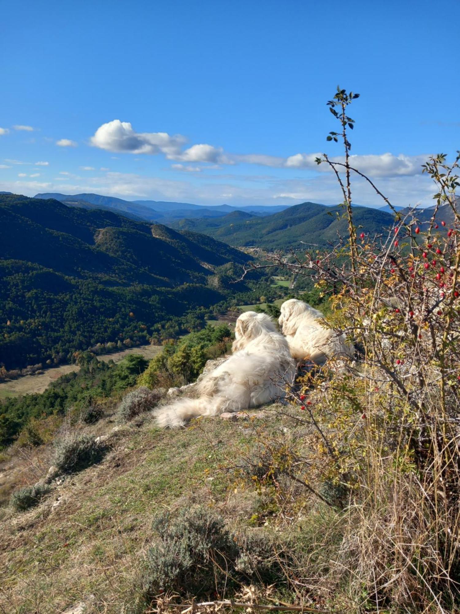 Gite La Mountagna Peyroules Exteriér fotografie